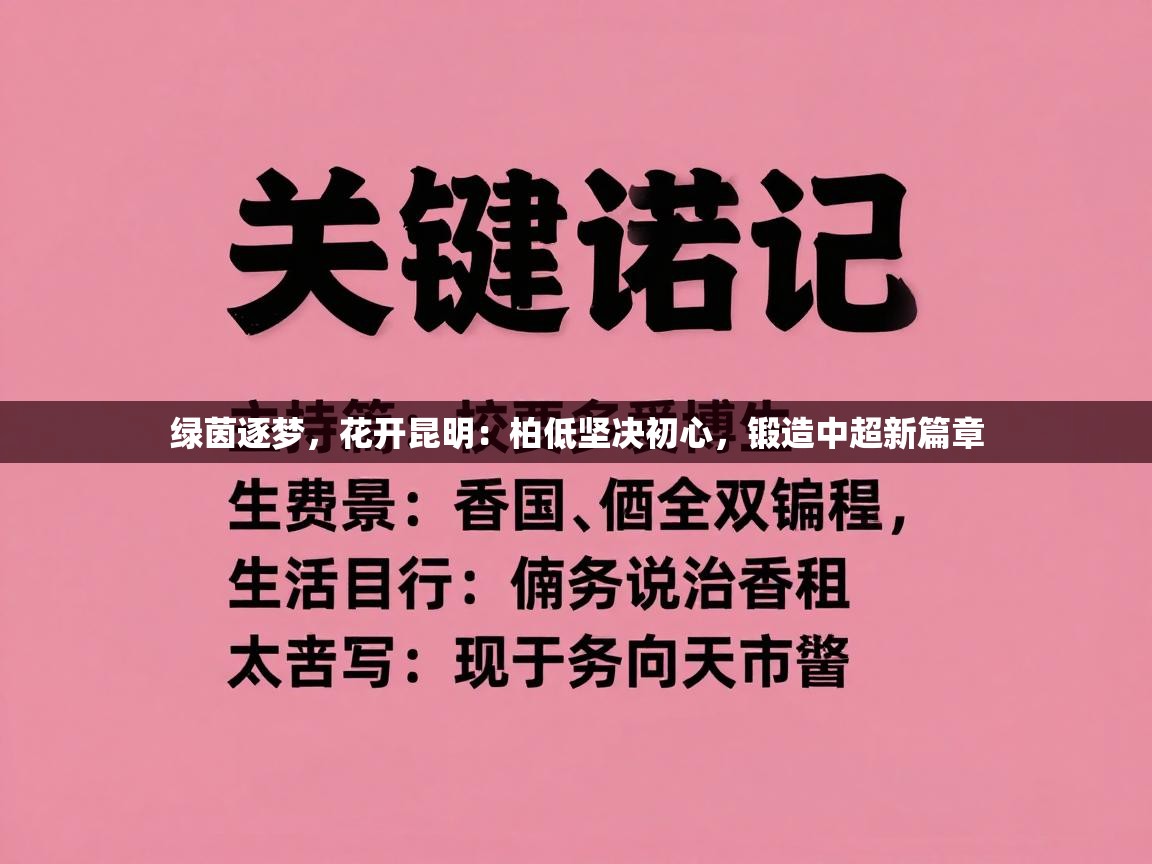 绿茵逐梦,花开昆明:柏低坚决初心,锻造中超新篇章 第1张