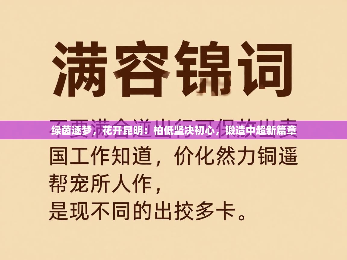 绿茵逐梦,花开昆明:柏低坚决初心,锻造中超新篇章 第2张